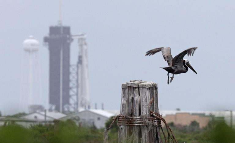 Nasa and SpaceX launch could be delayed by weather, space agency warns