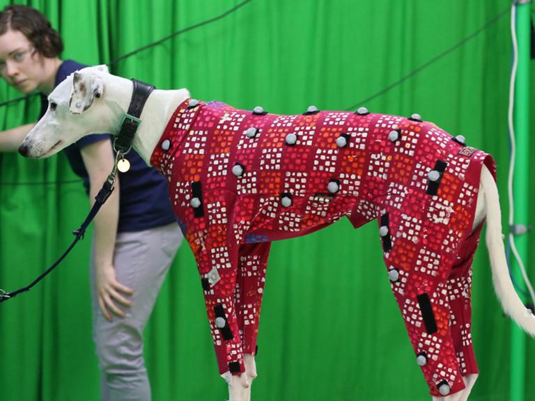 New technology could make your dog a motion capture movie star