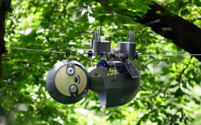 Robot sloth used to save the world&apos;s most endangered species