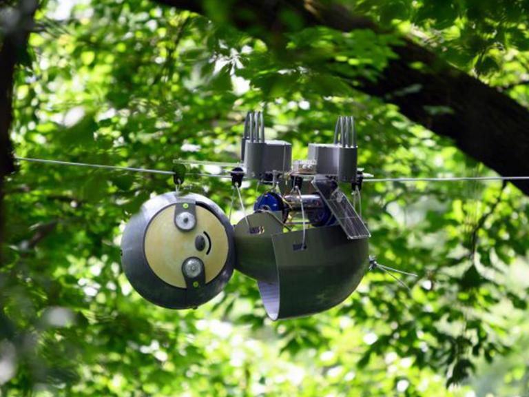 Robot sloth used to save the world&apos;s most endangered species