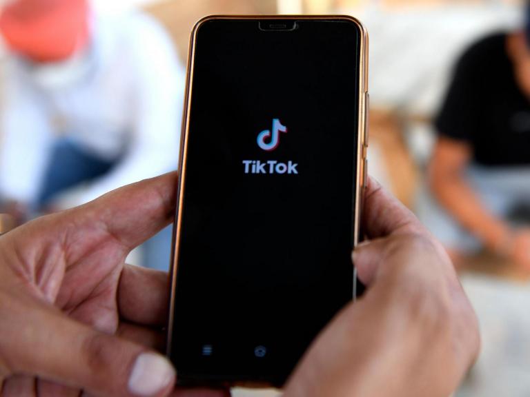 TikTok: Democratic and Republican parties warn staff about app amid rumours of US ban