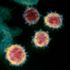 Scientists discover ‘camouflage’ coronavirus enzyme