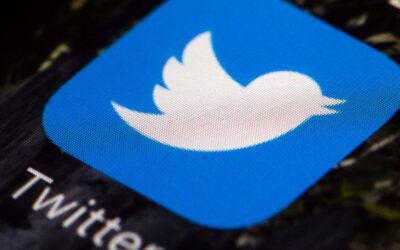 Twitter users stage virtual &apos;walkout&apos; over company&apos;s failure to tackle racism and harassment