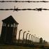 Facebook algorithm ‘actively promoting Holocaust denial’