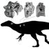 Bones of close relative of Tyrannosaurus rex discovered on Isle of Wight