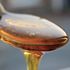 Honey better for coughs and sore throats than conventional medicine