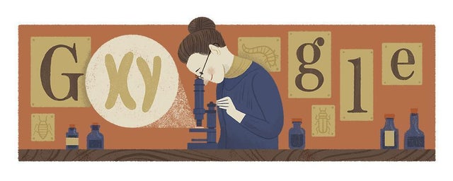 Google celebrates geneticist Nettie Stevens 155th birthday