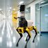 Spot the robot dog could be used to monitor coronavirus patients