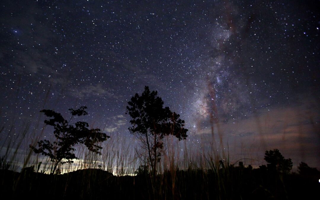 Milky Way galaxy has 'clumpy halo' that could be hiding mysterious missing matter, astronomers say