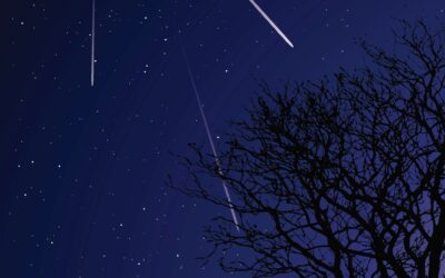 Orionid meteor shower to bring ‘prolonged explosions of light'