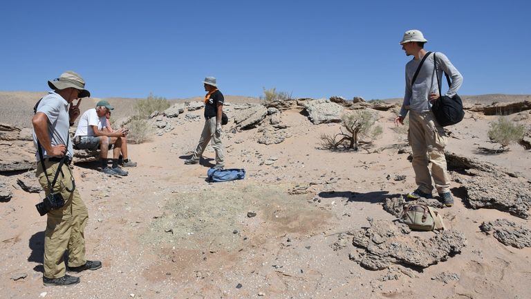 Undated handout photo of members of a University of Edinburgh-led team in the Gobi Desert in Mongolia where they discovered multiple complete skeletons of a new species of toothless, two-fingered dinosaur named Oksoko avarsan. The feathered, omnivorous creatures grew to around two metres long with only two functional digits on each forearm, and also had a large, toothless beak similar to the type seen in parrots today. 