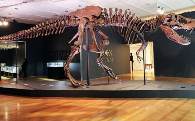 T-Rex skeleton breaks record as anonymous buyer spares no expense with £24.5m auction bid