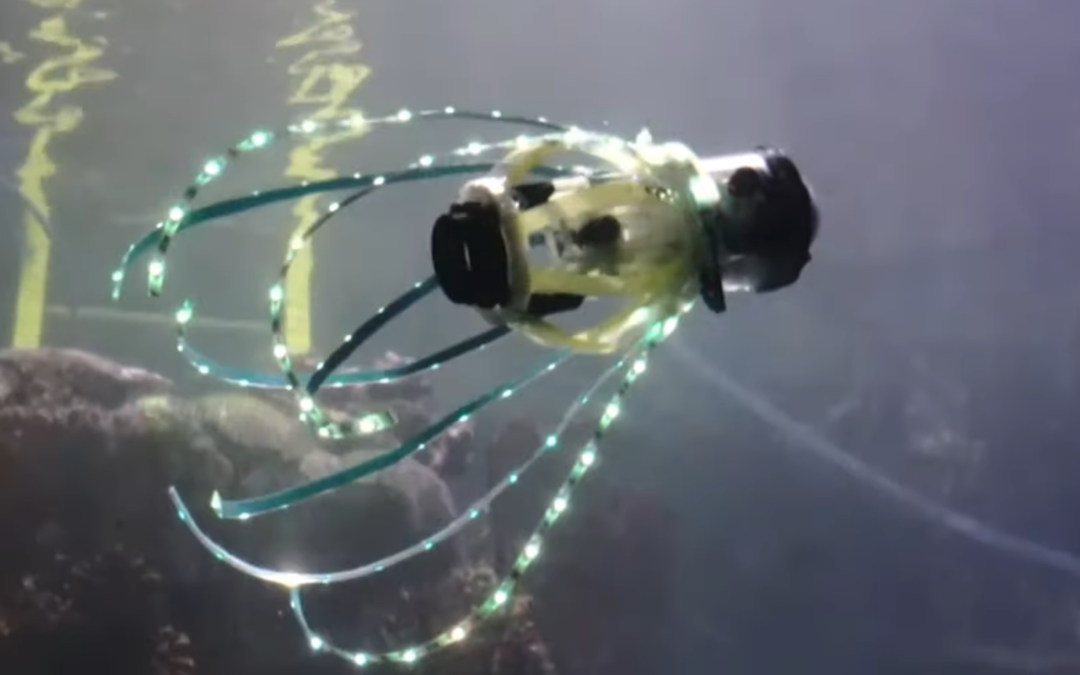 Glowing robot squid could be the next step in deep sea exploration